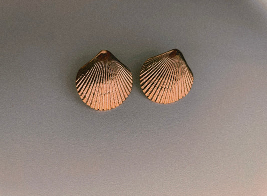 Cockle Shell Studs