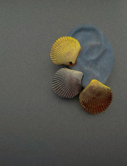 Cockle Shell Studs