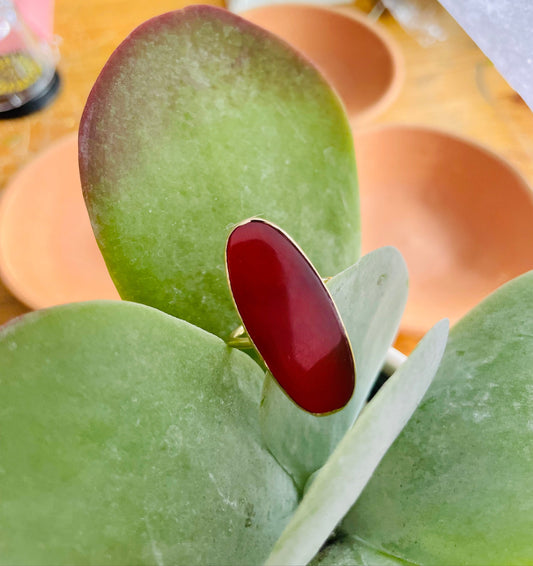 Dusk Ring